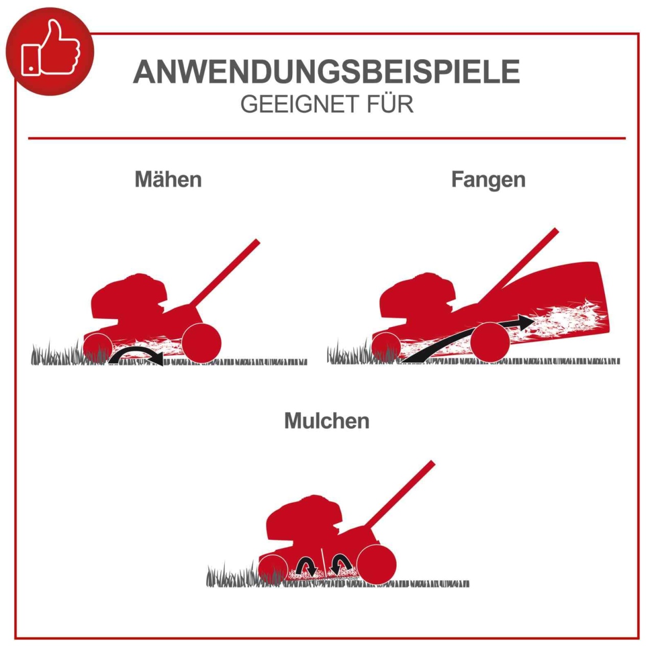 Scheppach motorna kosačica kosilica MS173-51E 4.1 KS - Slika 5